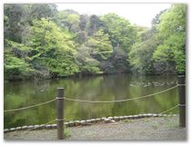 Der Kaiserin liebster Angel-Punkt im Garten beim Meiji-Schrein