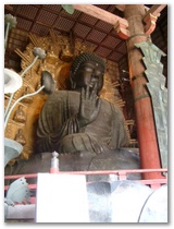 Der sitzende Buddha ist wirklich riesig. Der Kopf sieht neuer aus als der Rest des Koerpers, da er bei Erdbeben immer wieder heruntergefallen ist und ersetzt werden musste.