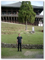 Ich war wirklich selber in Nara ;-)